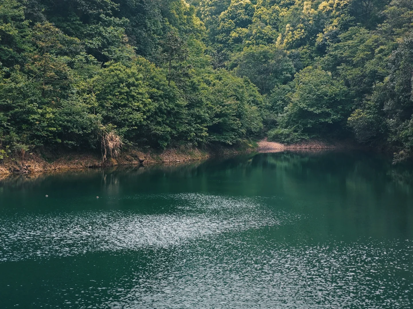 一些雌鹰们的装杯瞬间