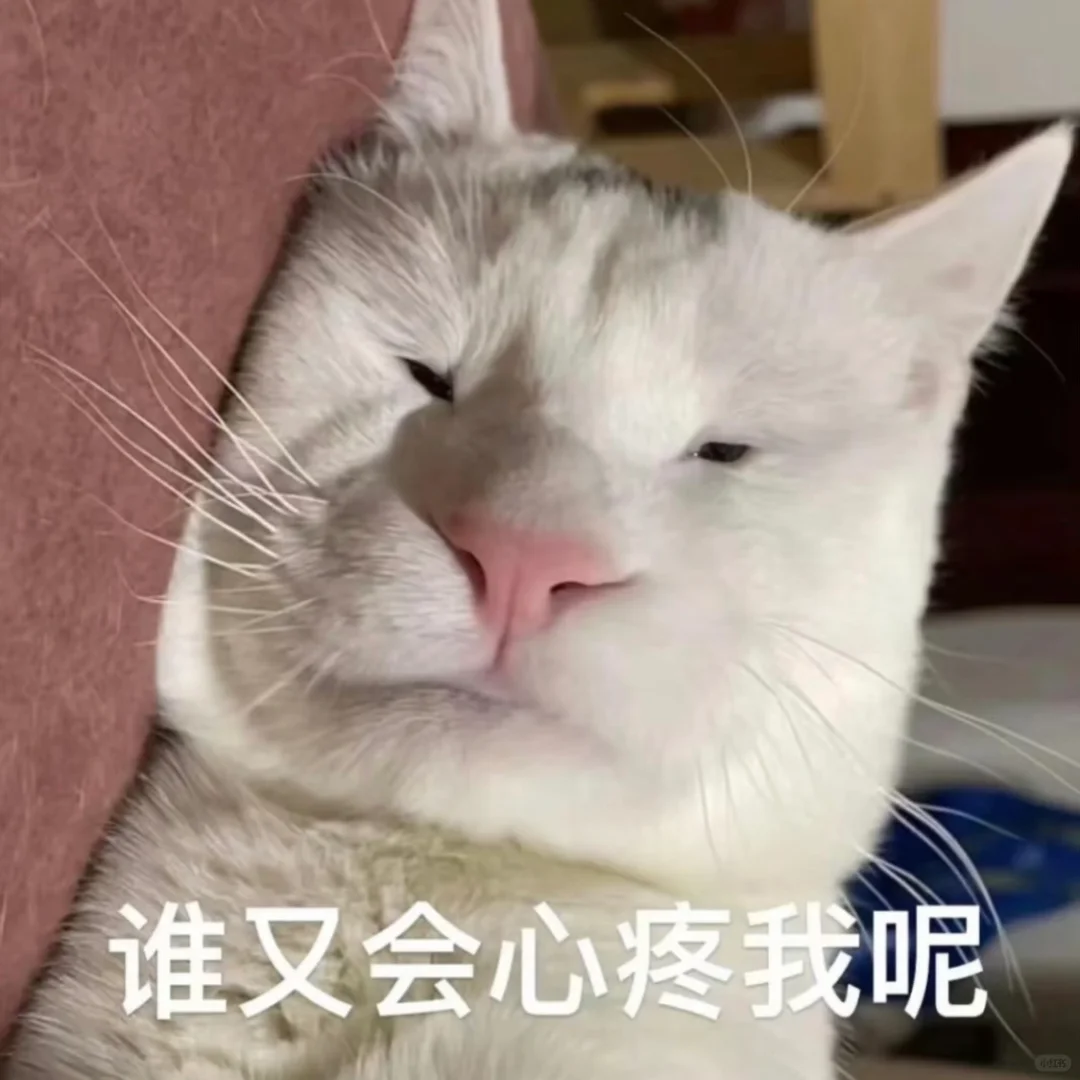 表情包｜密码的