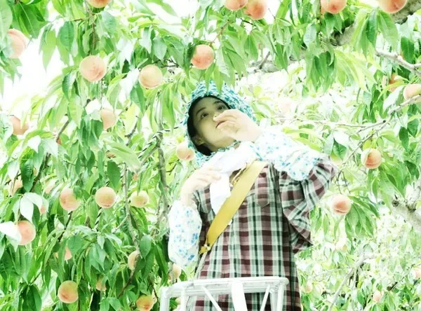 苍井优| 迷失森林的小鹿