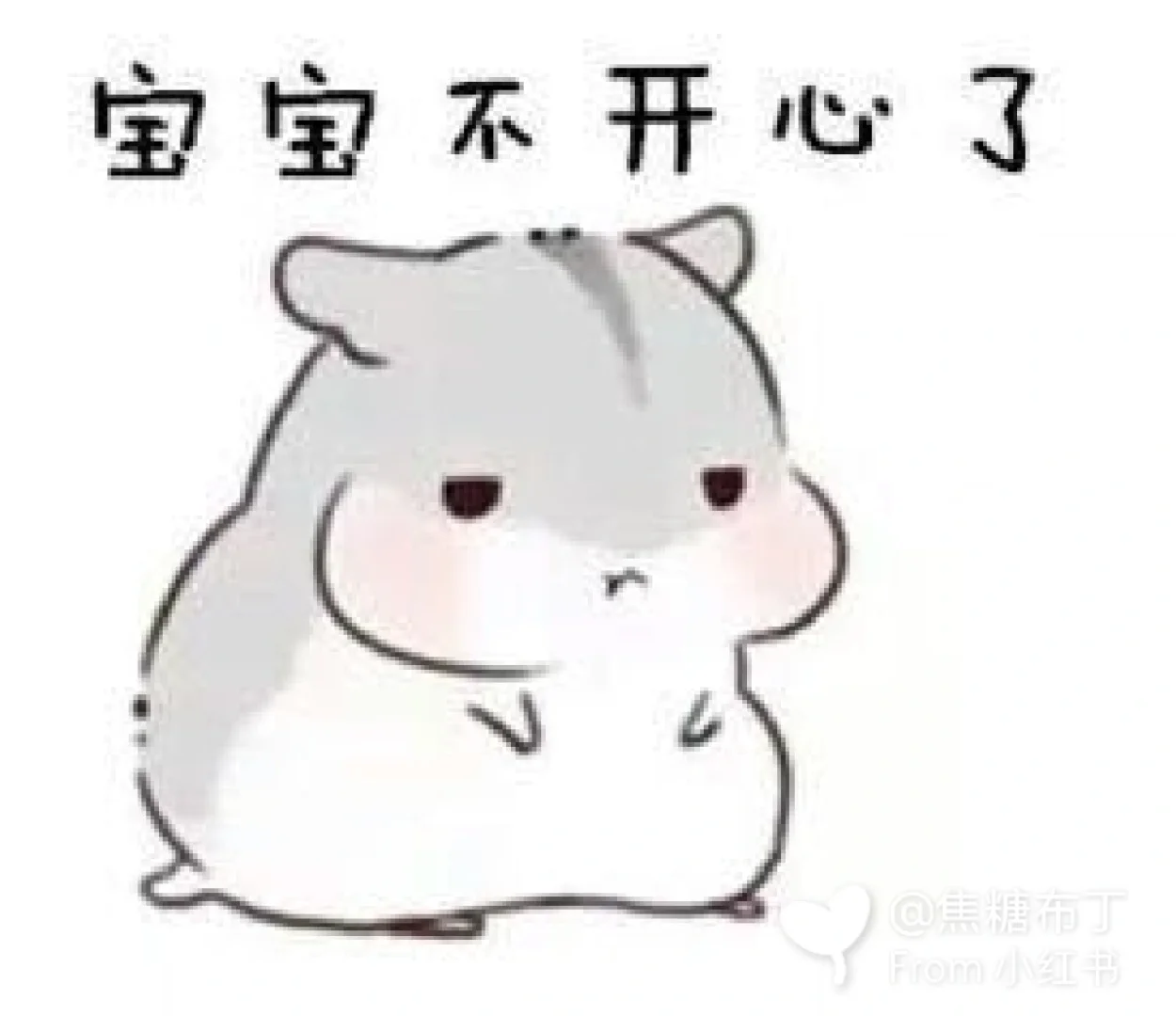 仓鼠表情包1
