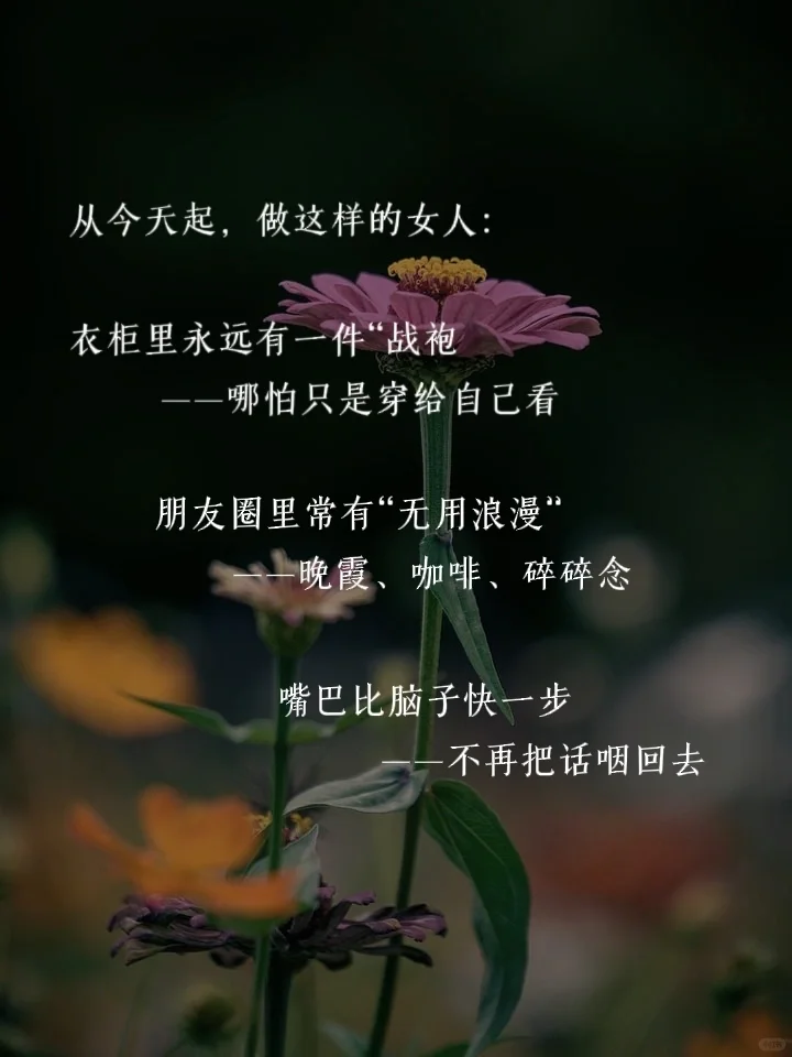 2025做一个有生命力的中年少女