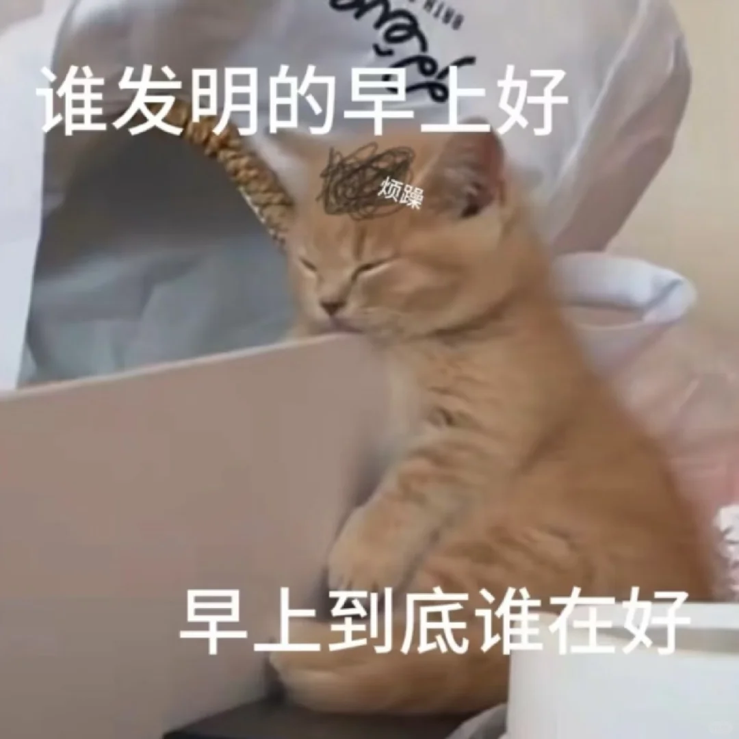 表情包｜密码的