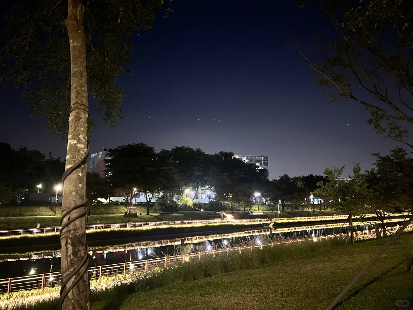 多跑步|多出汗 |少emo |少扯淡🏃‍♀️💦