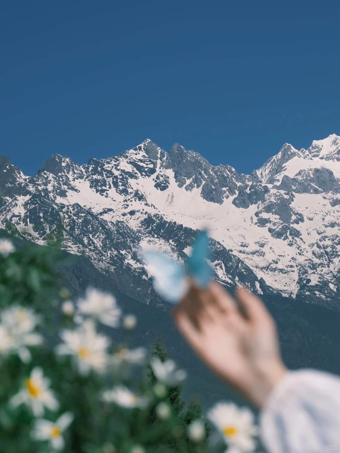交换春天 | 在有风的地方️不露脸氛围随拍