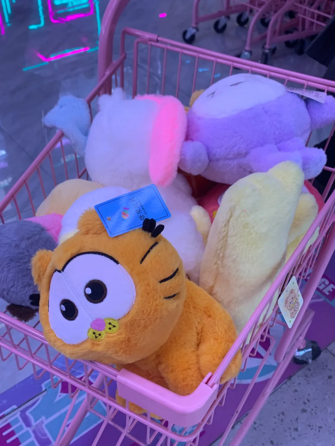 ✨全女班考古实录
