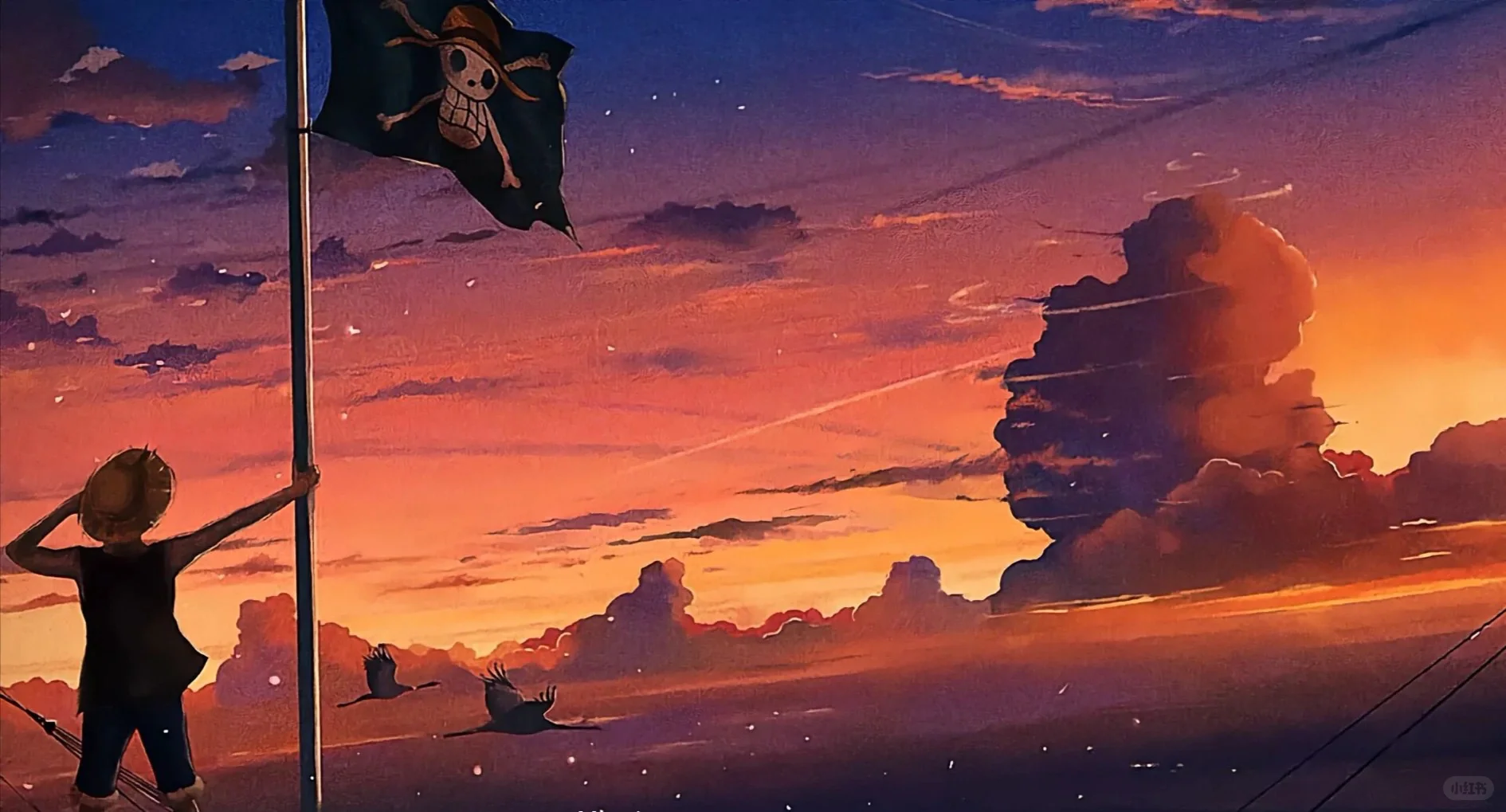 海贼王电脑壁纸