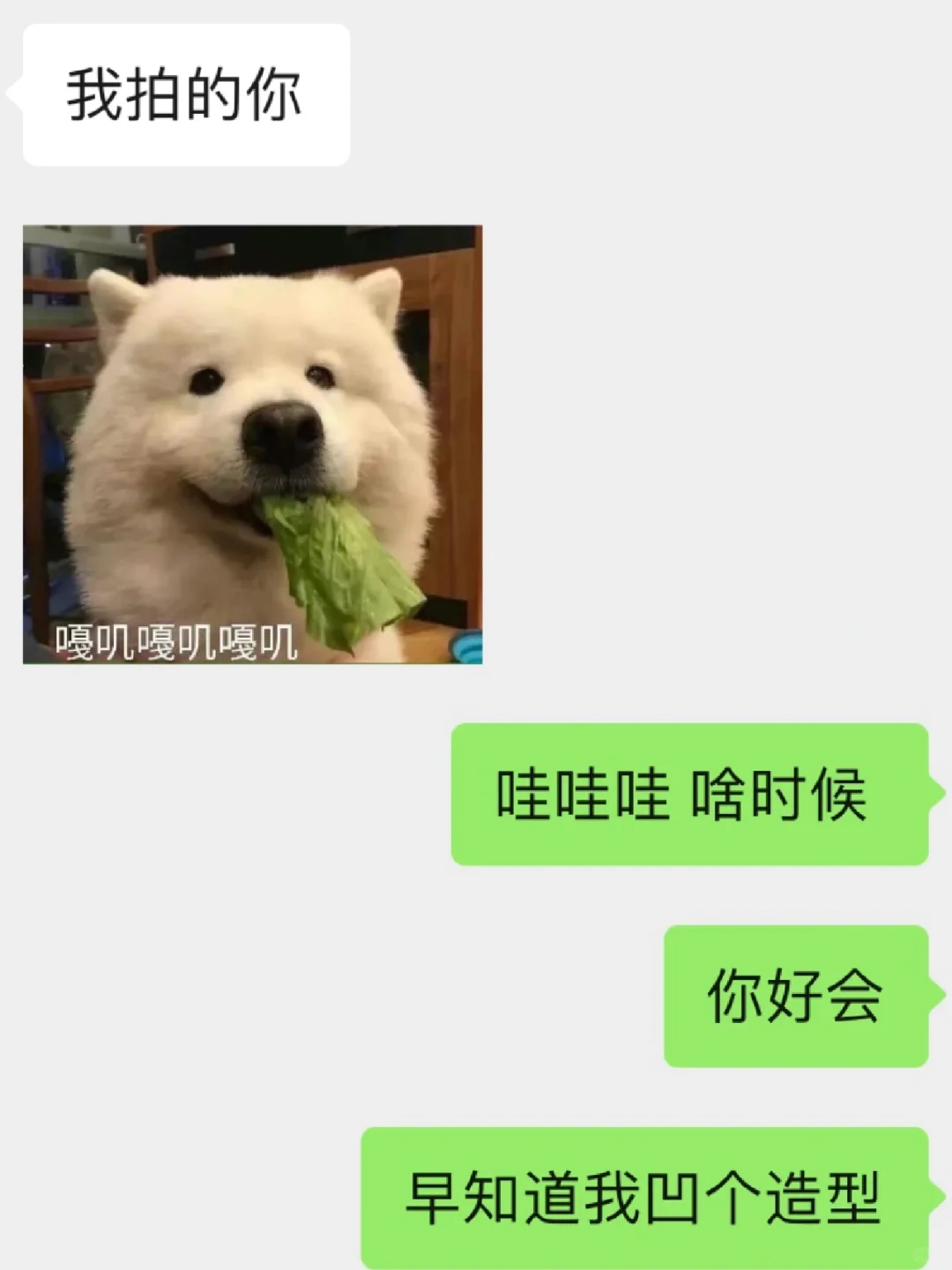 没有一条黑丝的寿命超过24小时