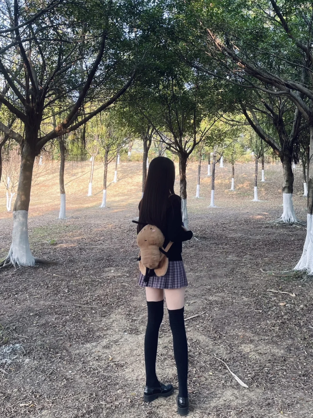 今天穿jk～