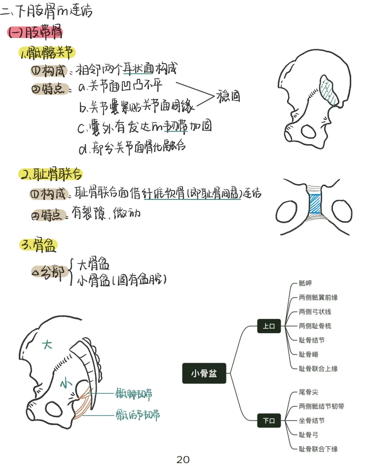 只有医学生才知道他的伟大