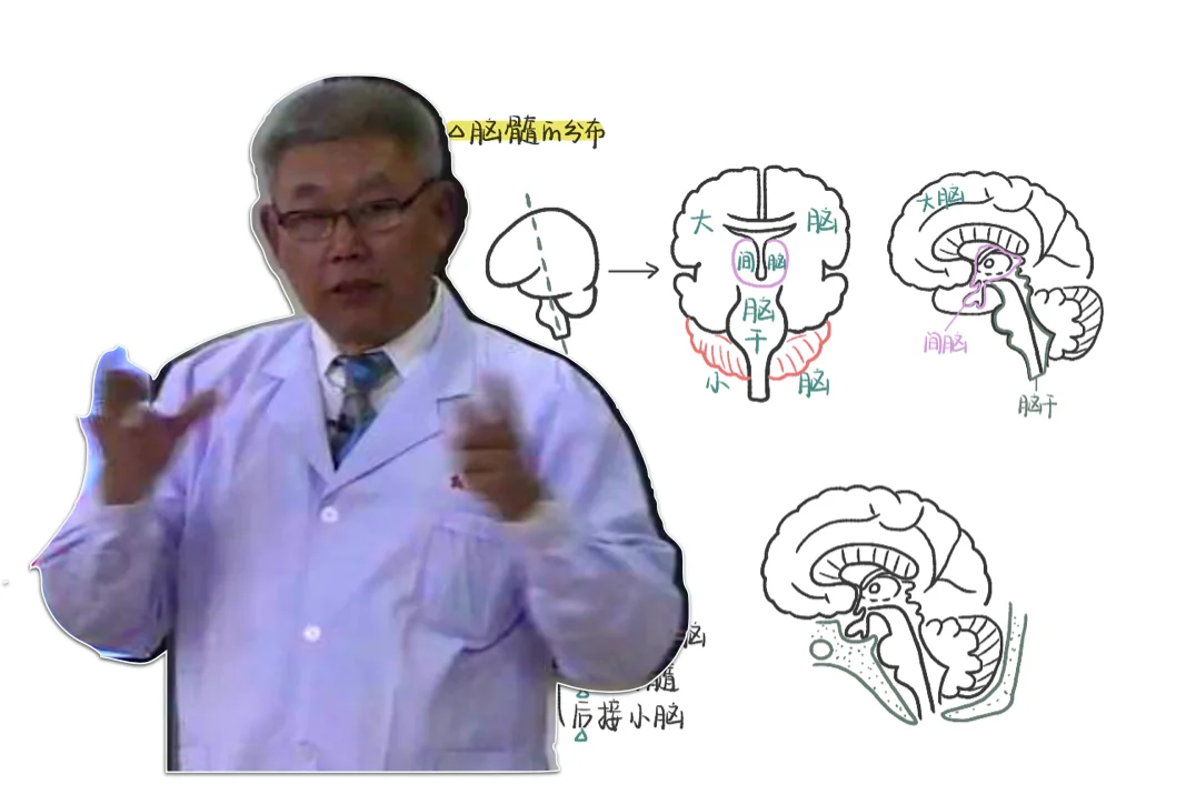 只有医学生才知道他的伟大