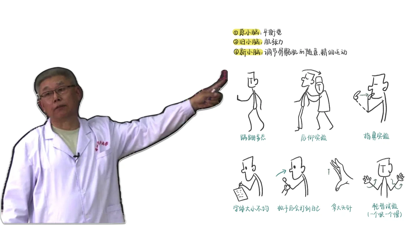 只有医学生才知道他的伟大