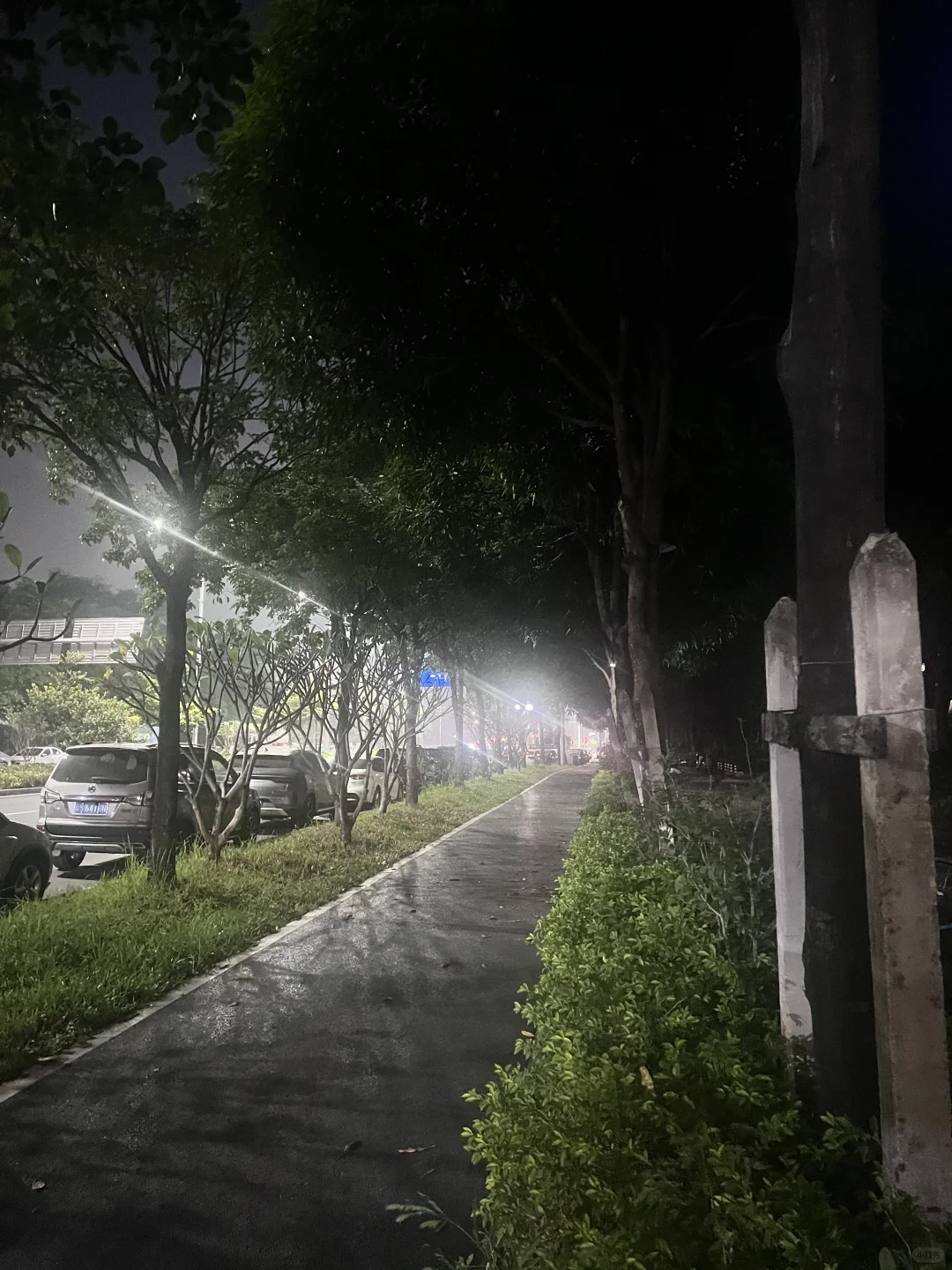 你不需要提速只需要行动‍♀️～