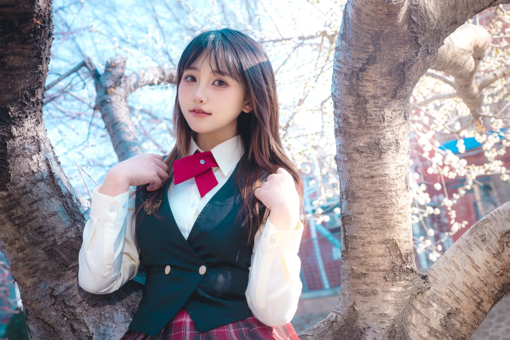 十里堡桃花慢报