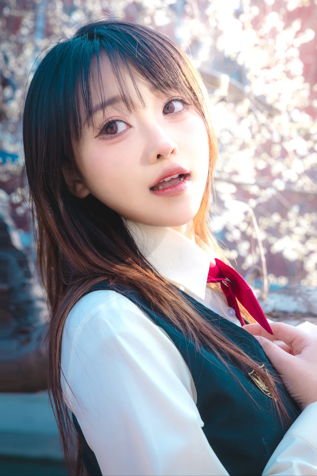 十里堡桃花慢报