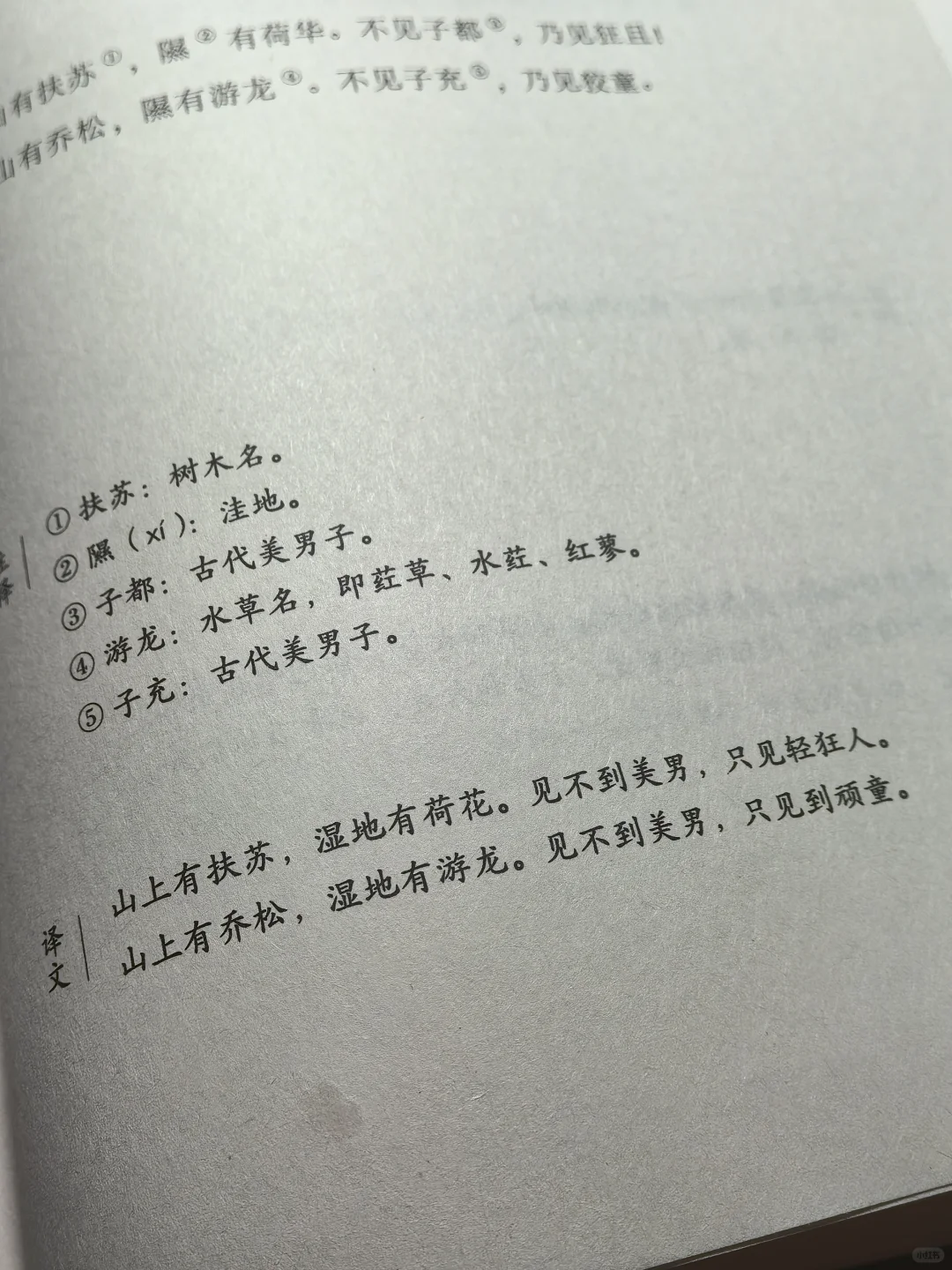 诗经你小子
