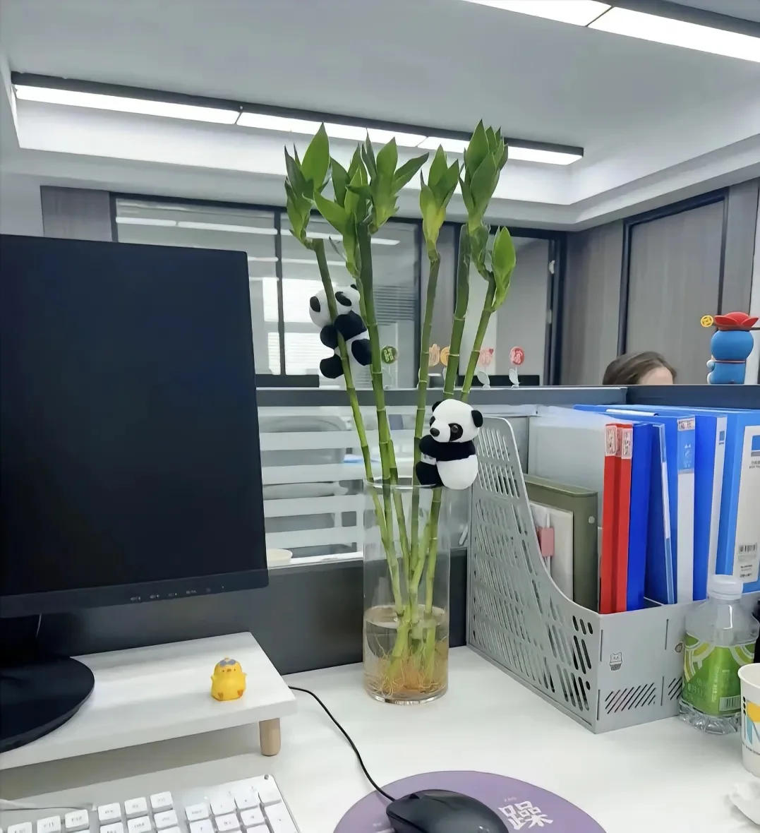 无经验文员上班两个月。