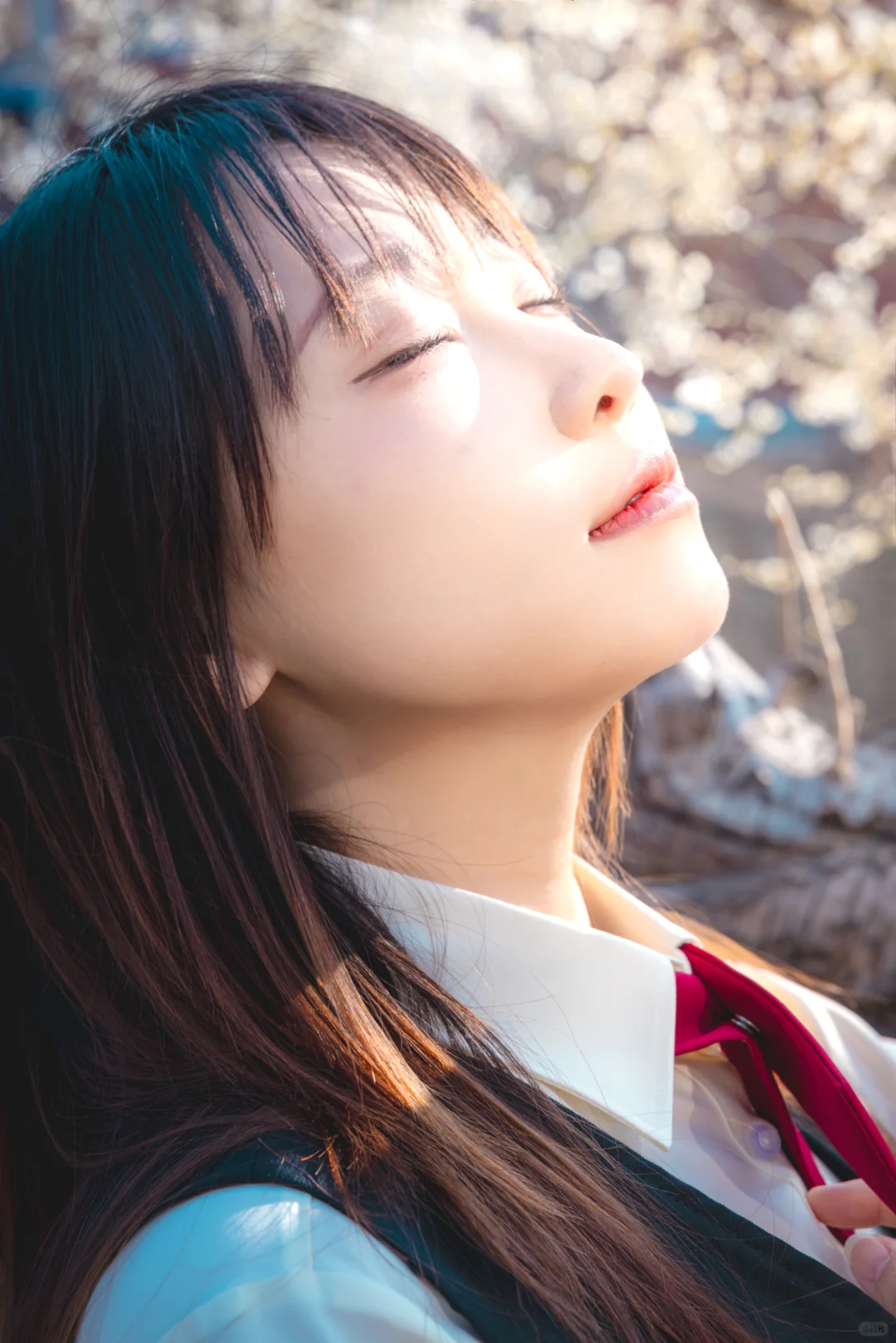 十里堡桃花慢报