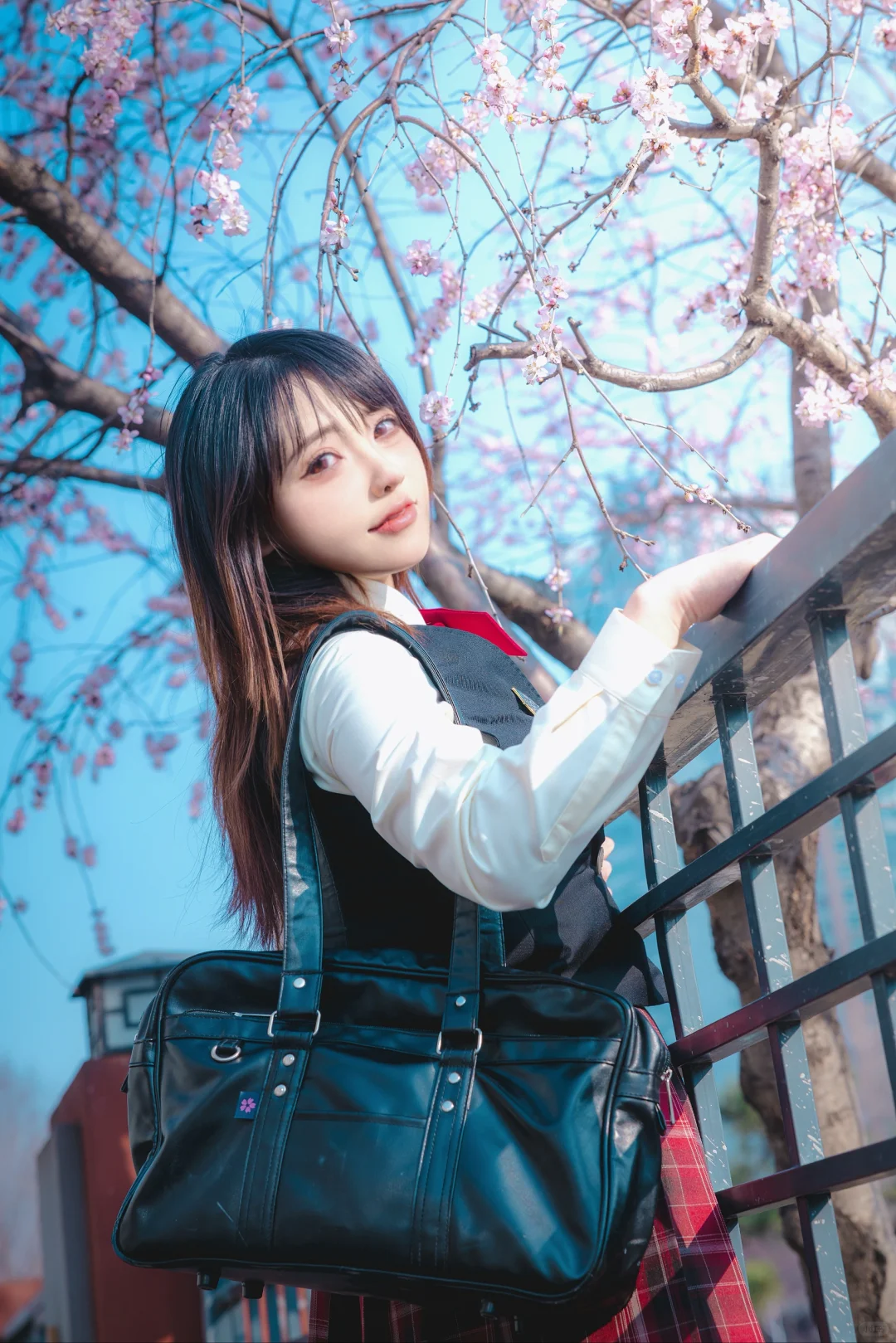 十里堡桃花慢报