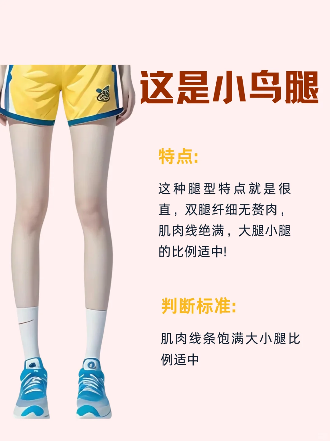 六种常见美腿|你是什么腿型❓
