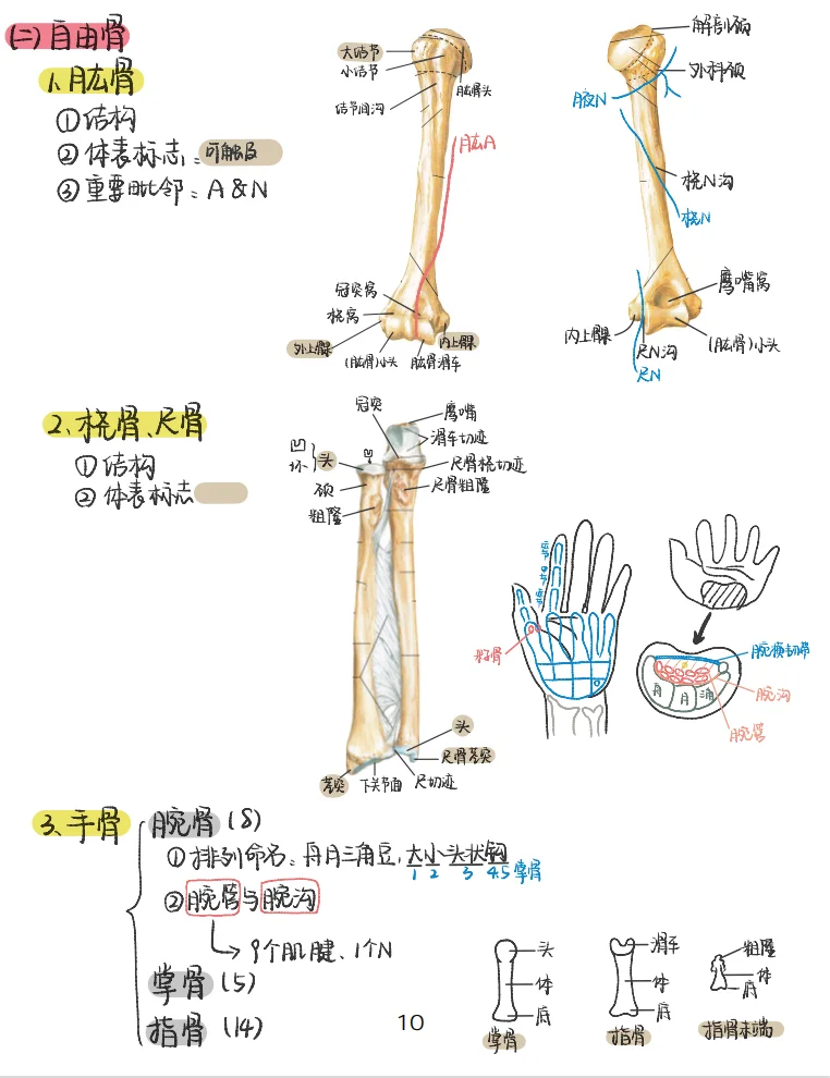 只有医学生才知道他的伟大