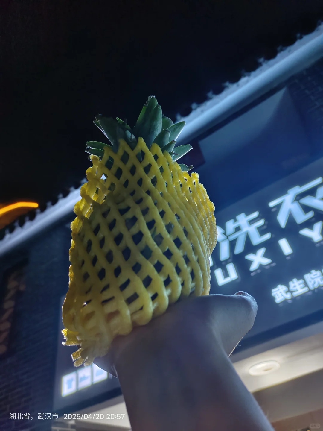 凤梨美女