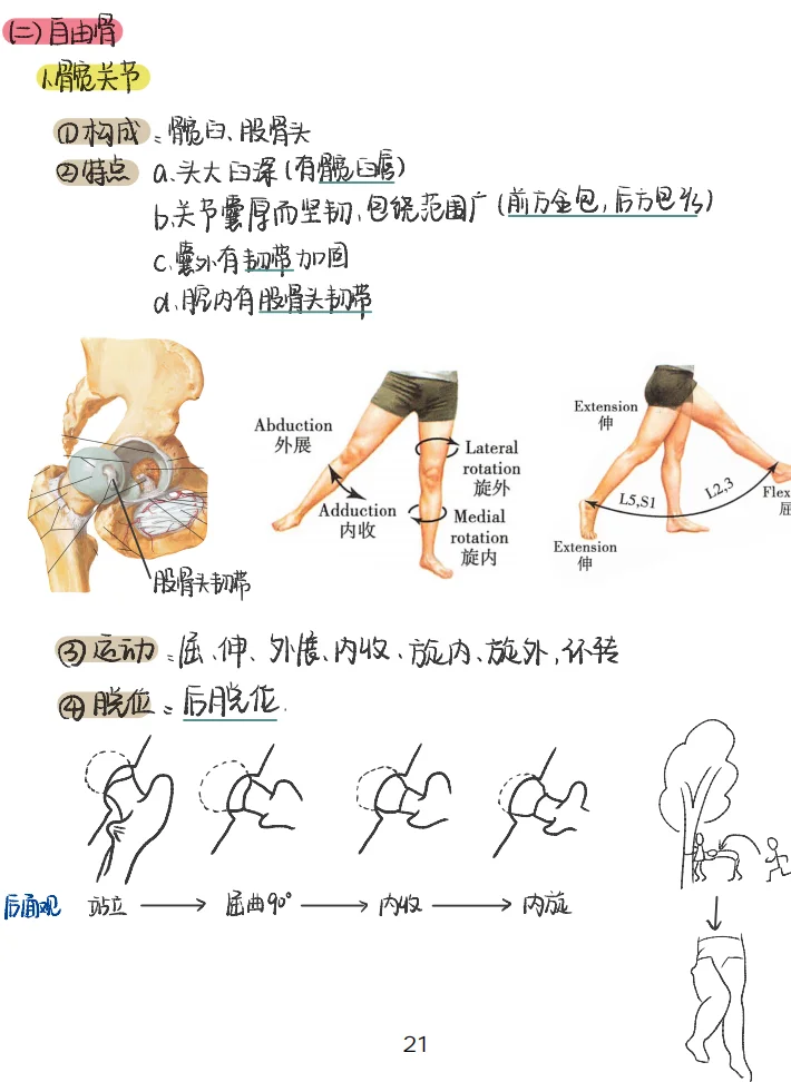 只有医学生才知道他的伟大