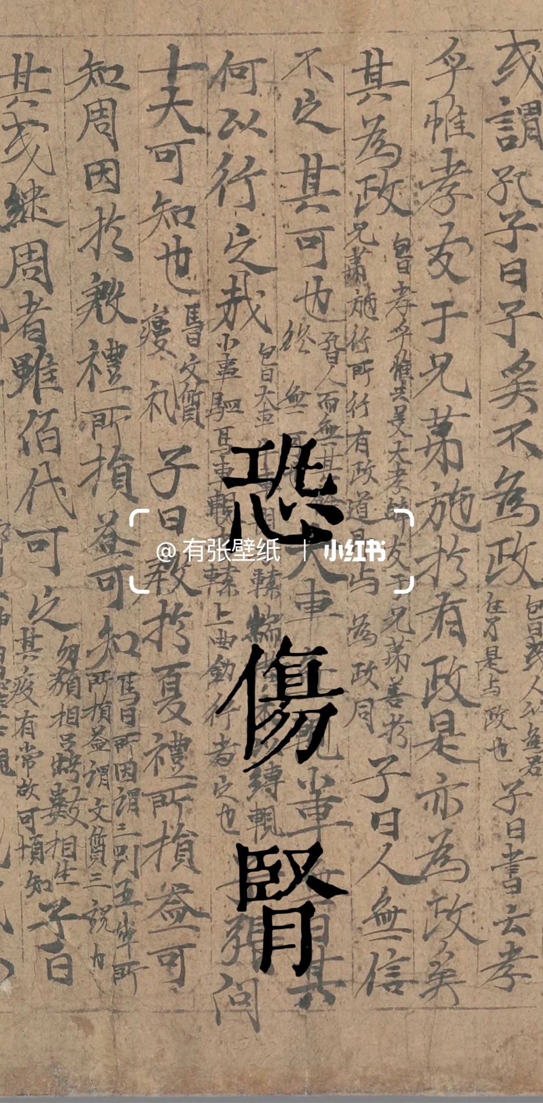 有张壁纸｜五劳七伤