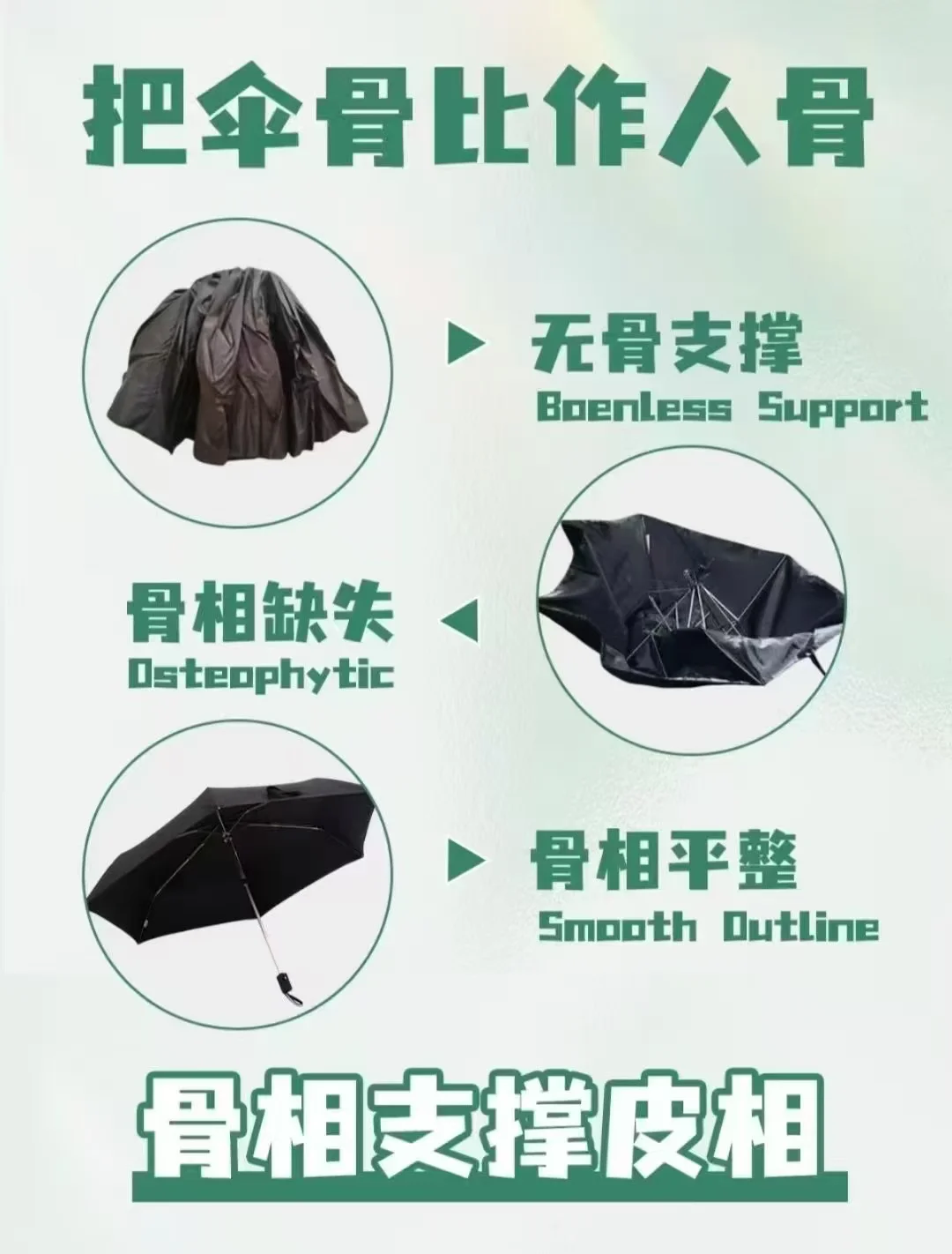什么是骨相美？