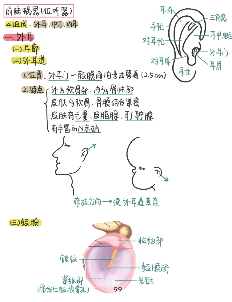 只有医学生才知道他的伟大
