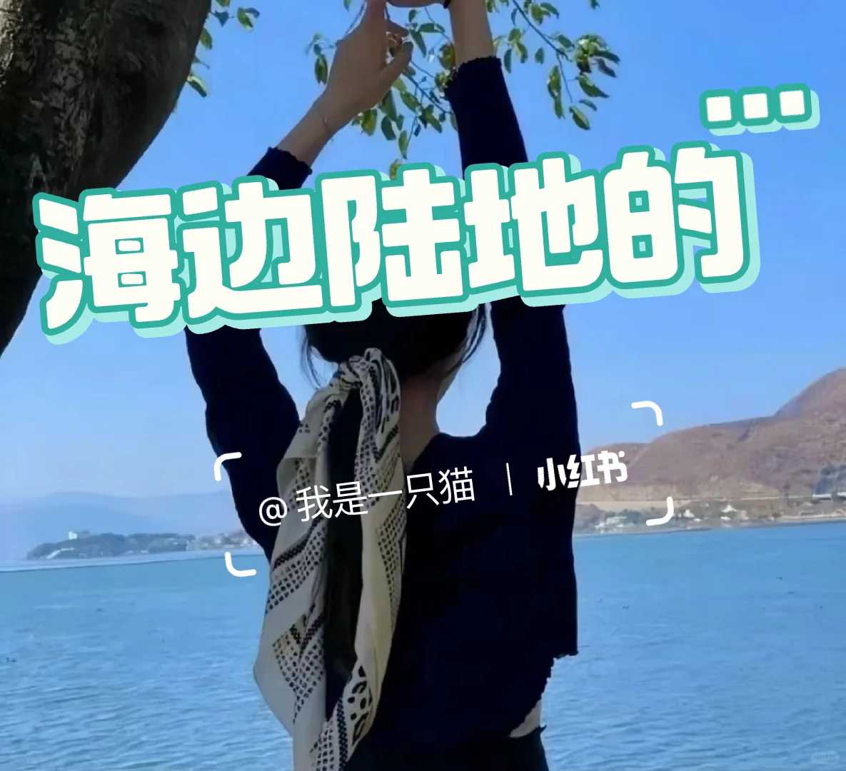 蓝色系女头