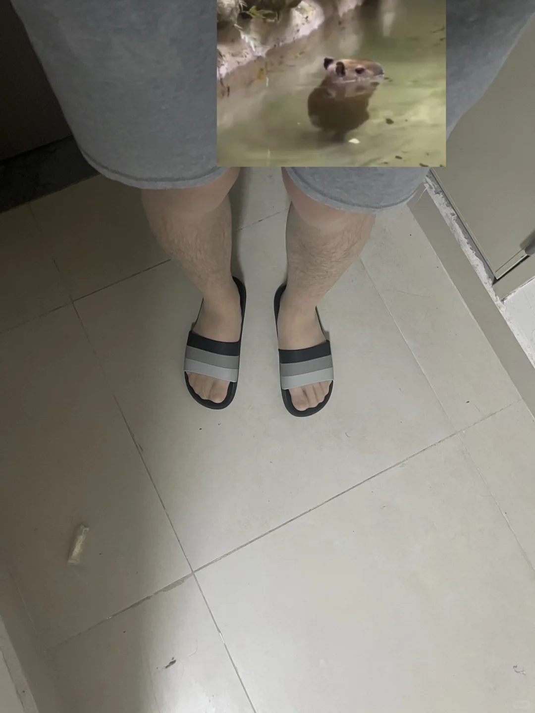 身高189，爱穿肉🧦，左滑看图