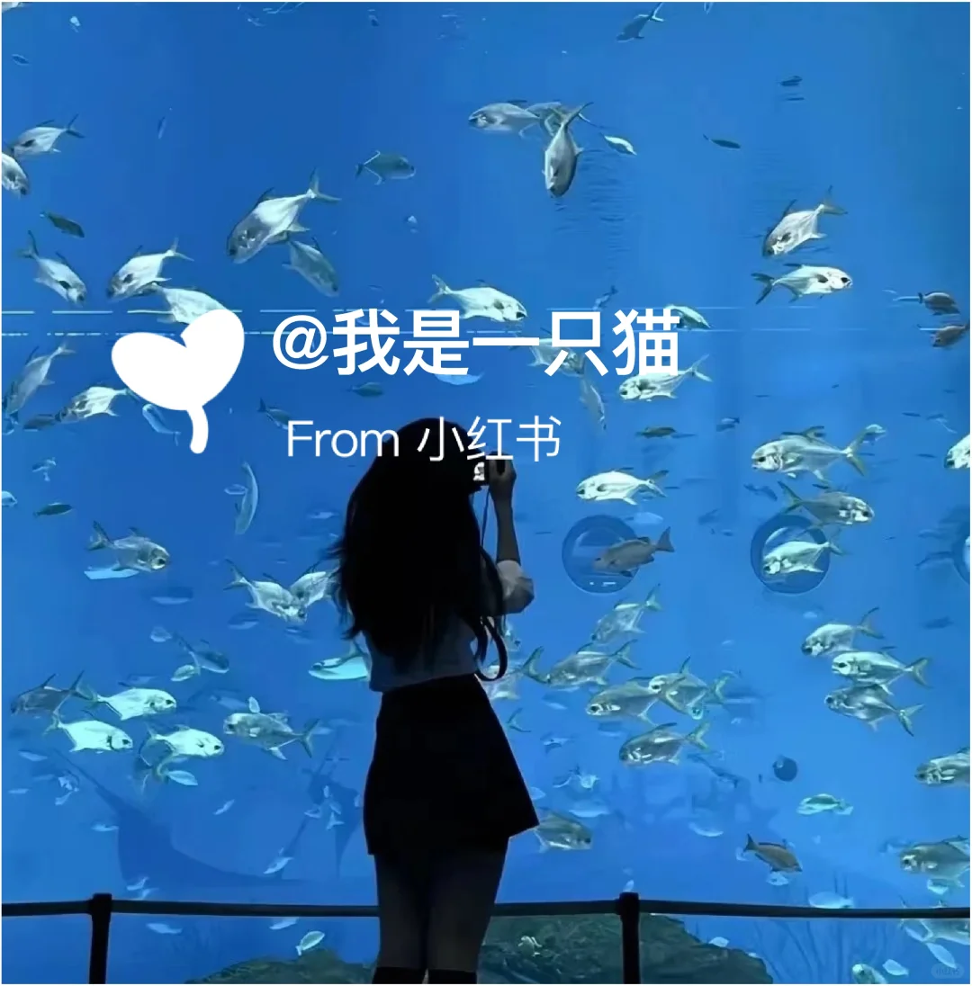 蓝色系女头