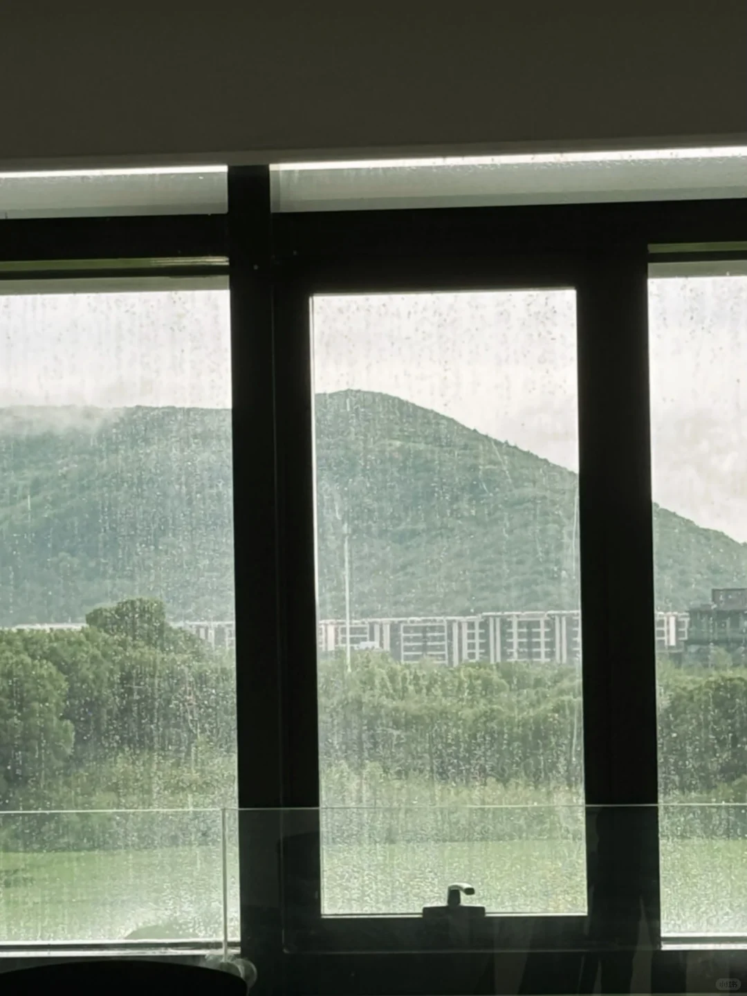 梅雨季真的很窝涩⛈️⛈️⛈️