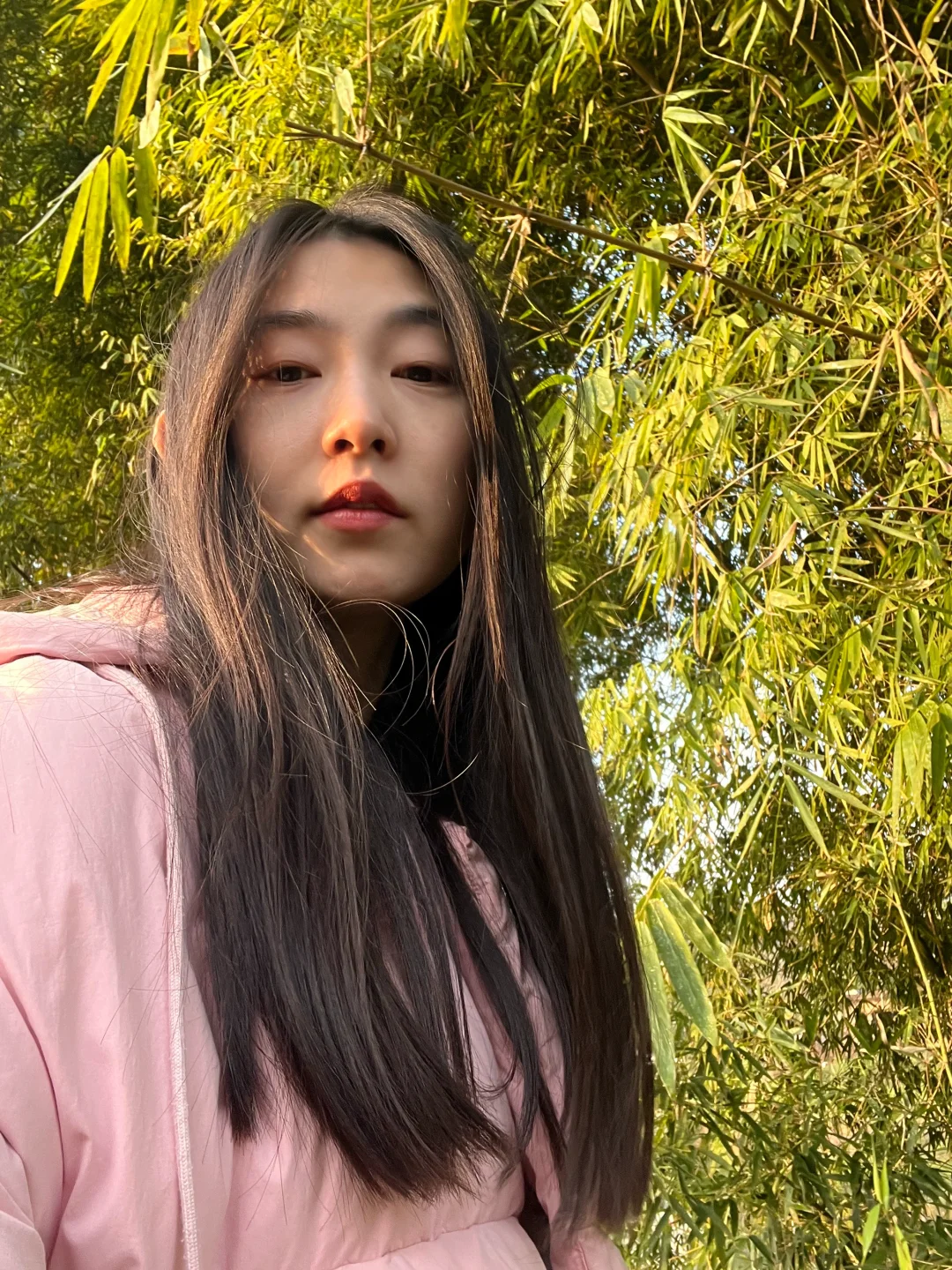 回村啦