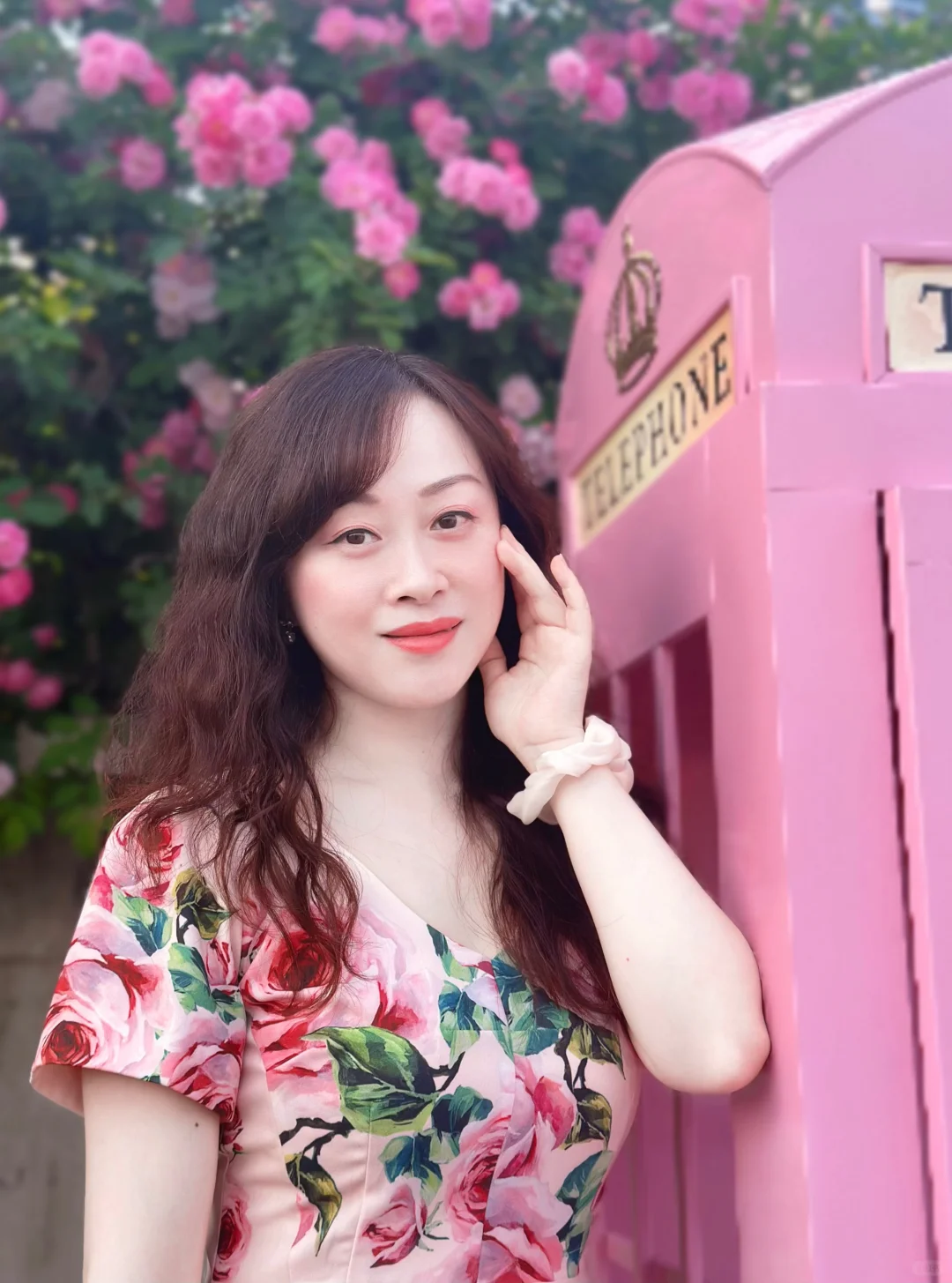 蔷薇花开，娇艳欲滴