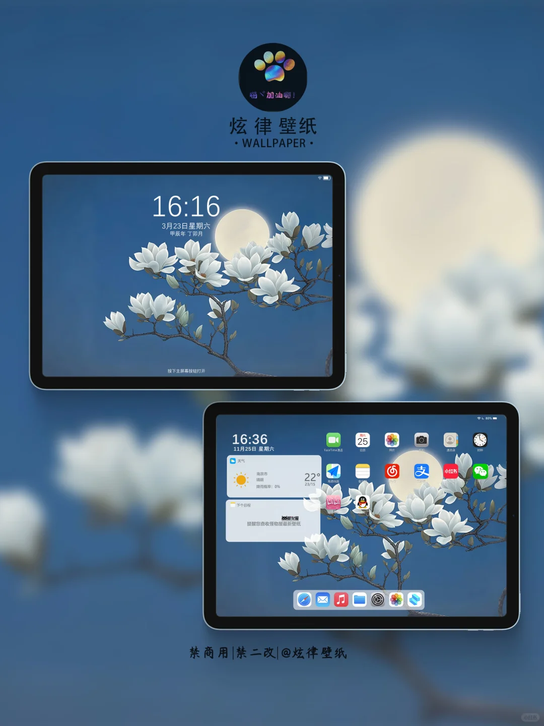 月亮与玉兰花 | 邂逅夜空中的清冷诗意