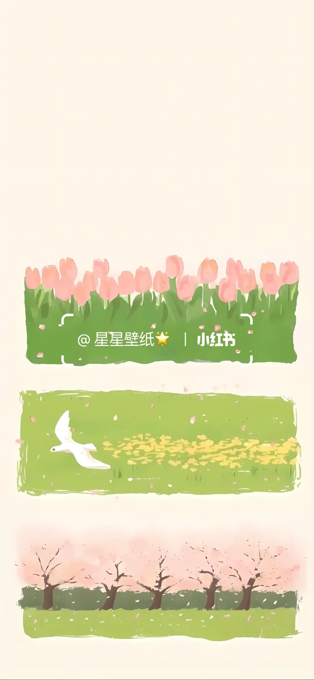 总有一款你会喜欢的