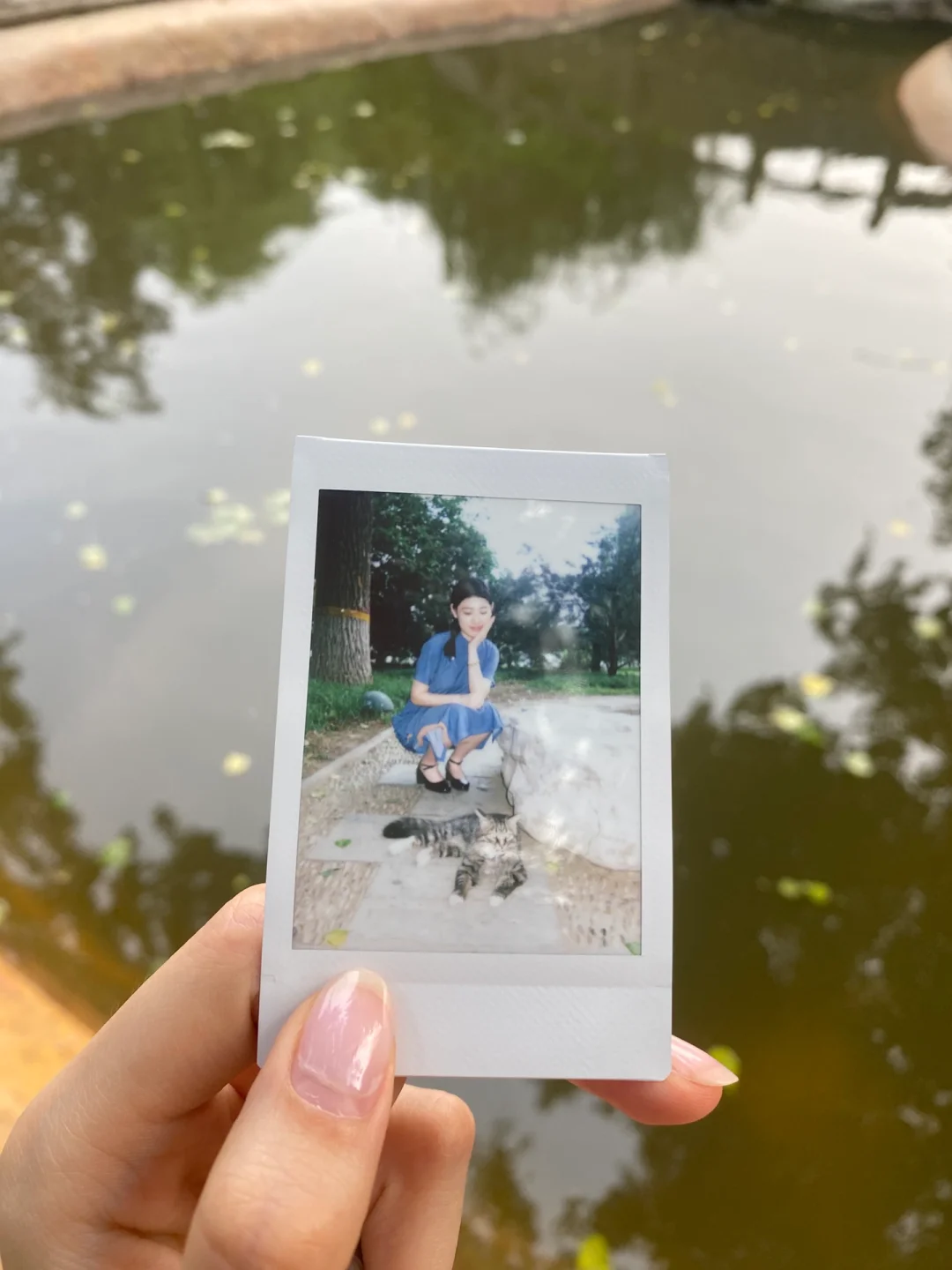毕业与旗袍 撞了满怀