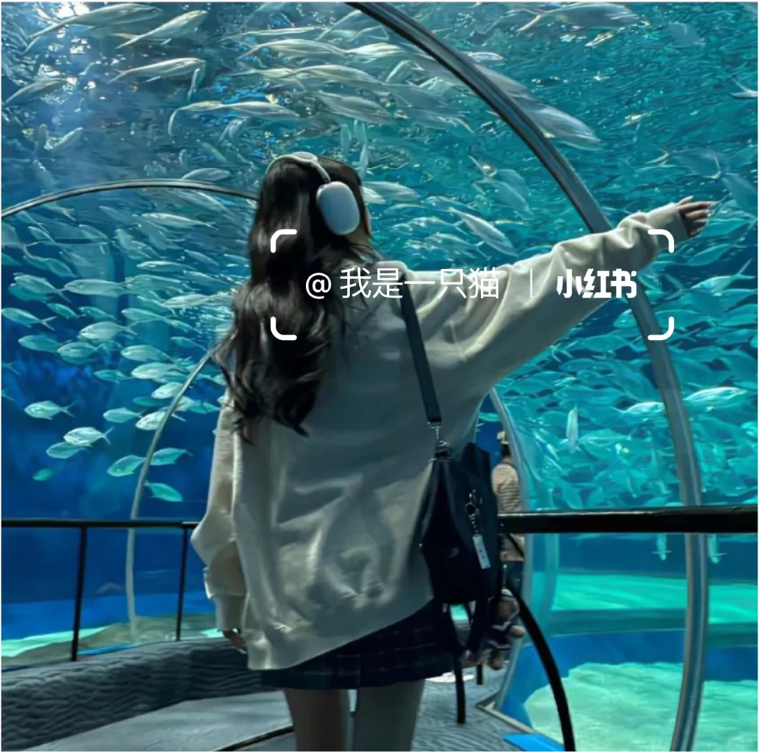 蓝色系女头
