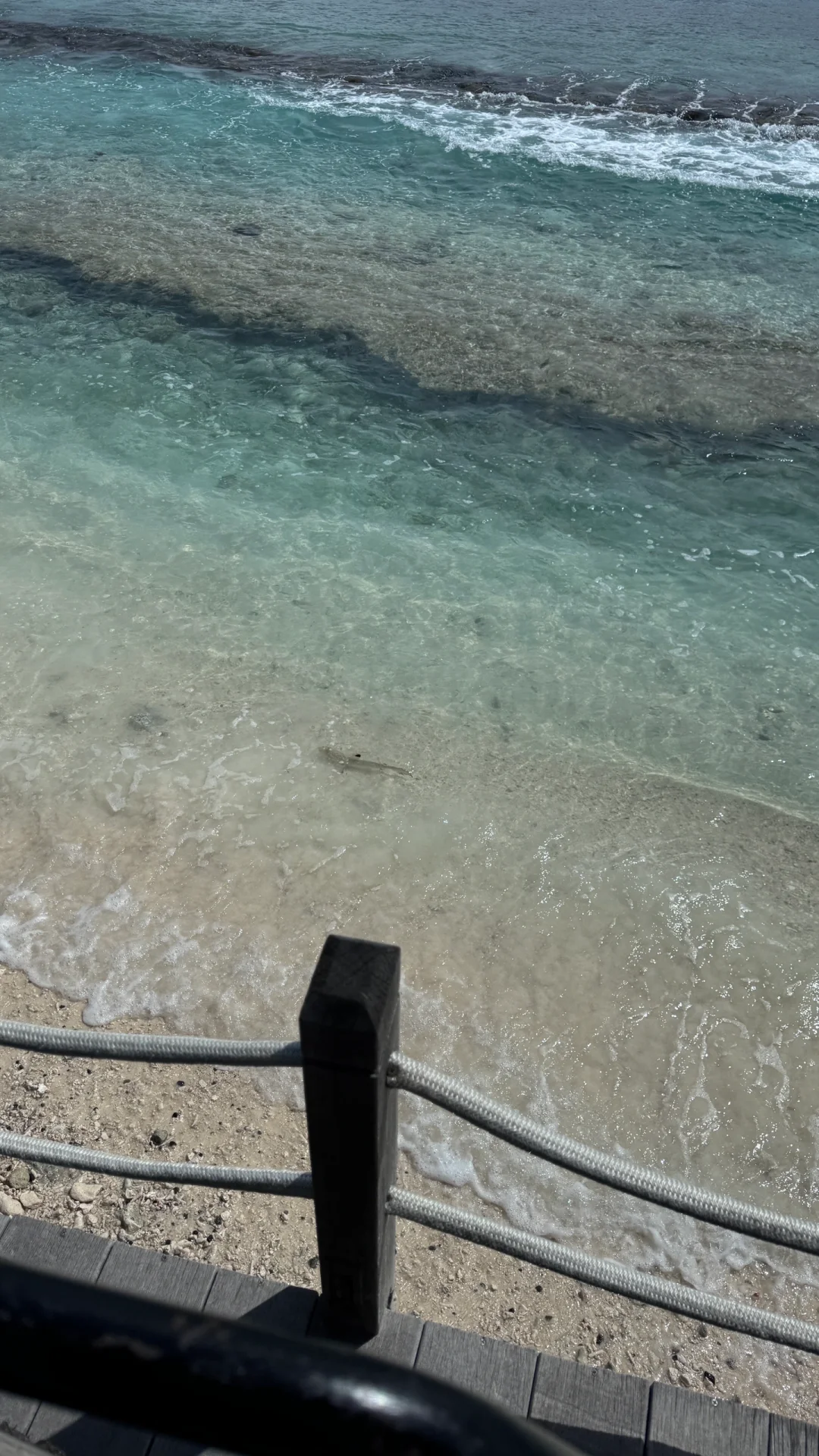 海岛🏝️