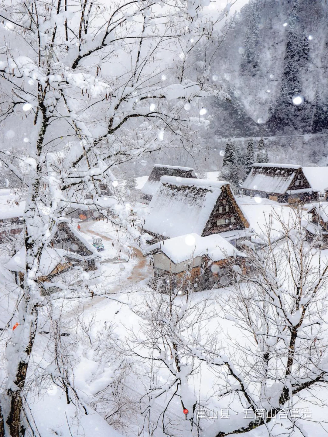 ❄️日本人间绝景，5大合掌村游玩攻略已整理！