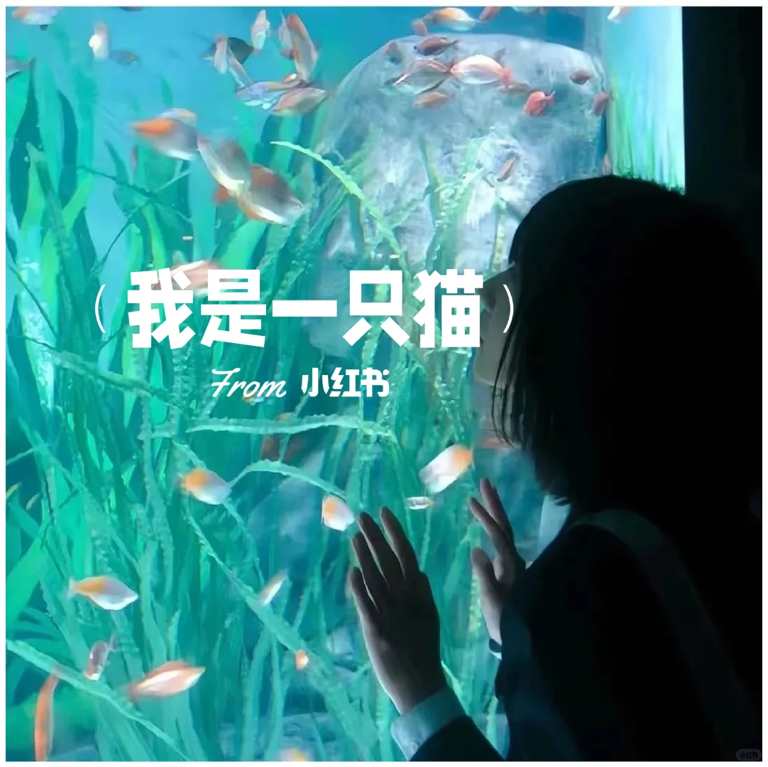 蓝色系女头