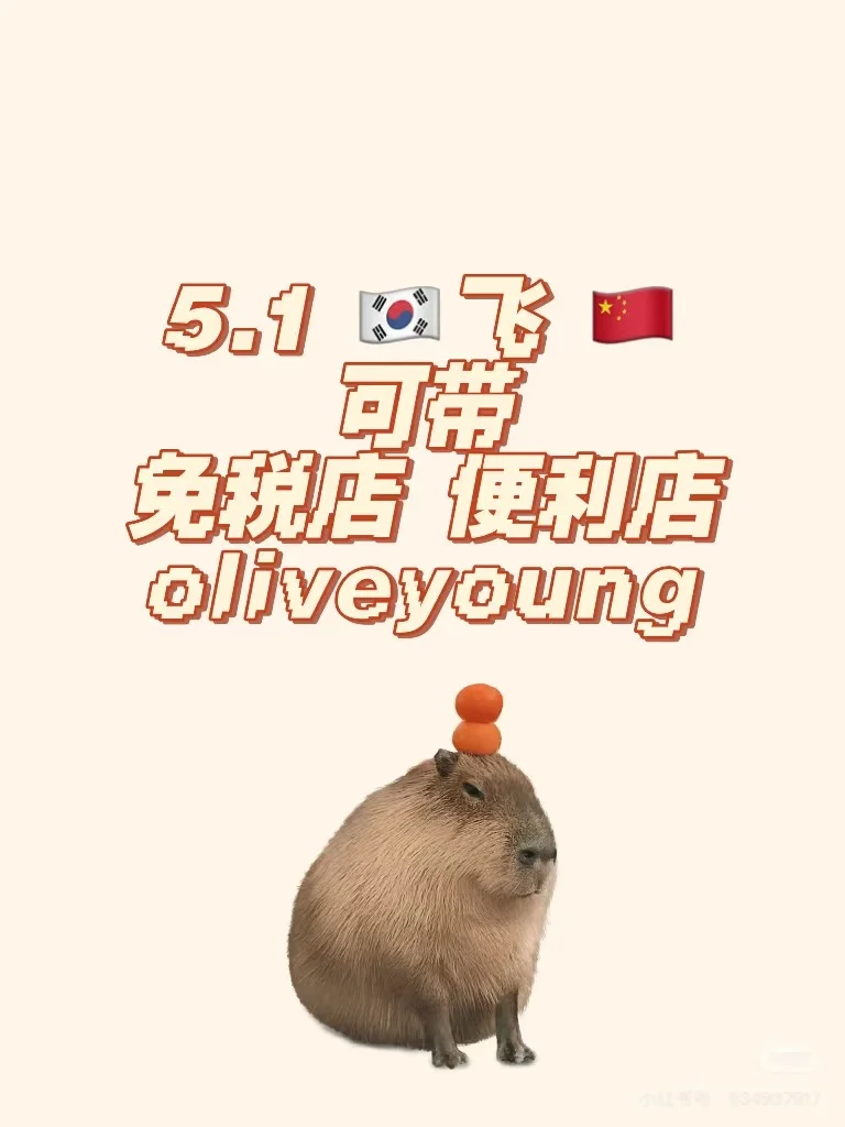 5.1 韩国🇰🇷 ✈️ 中国🇨🇳 可带