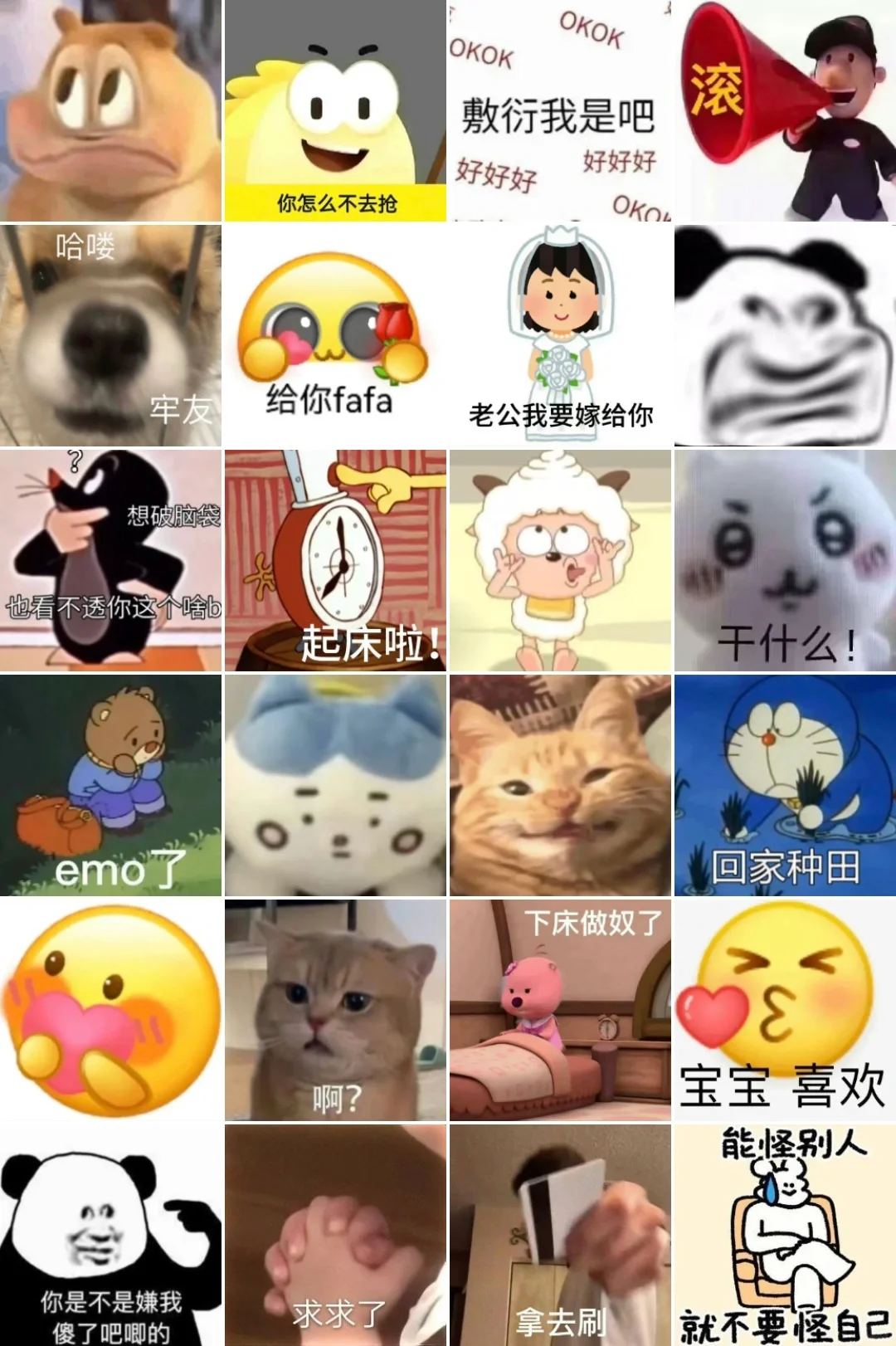 聊天必备‼️抽象搞笑有表情包（38）