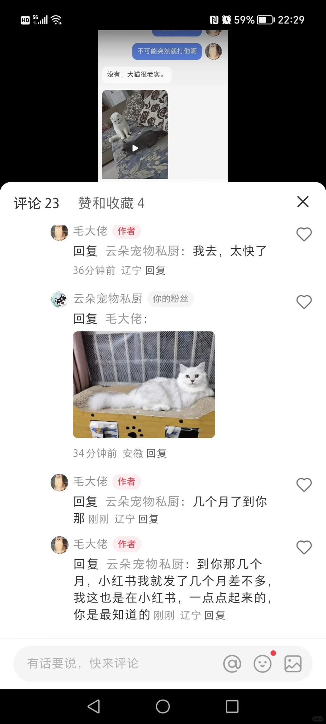 这是真真正正的铁粉了，看着我在小红书成长
