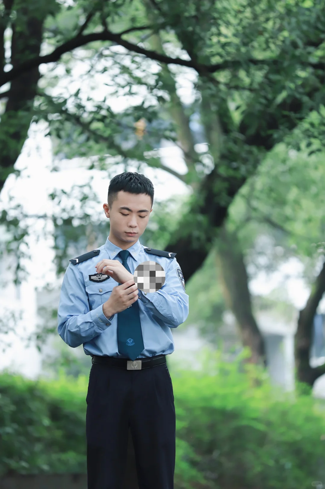 绿色是最好看的背景色
