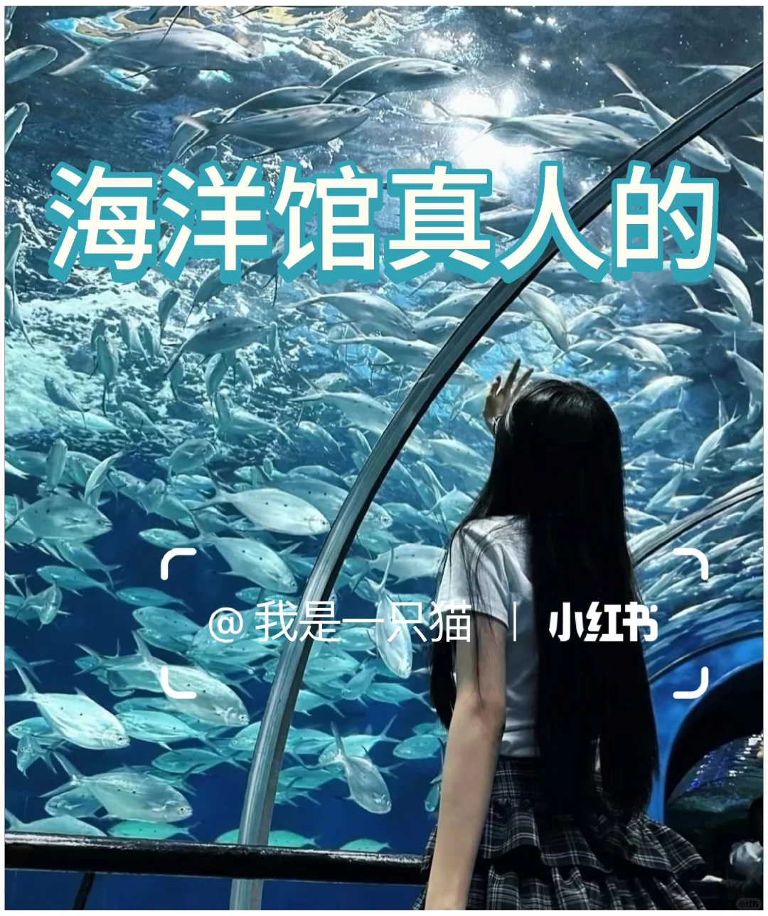 蓝色系女头