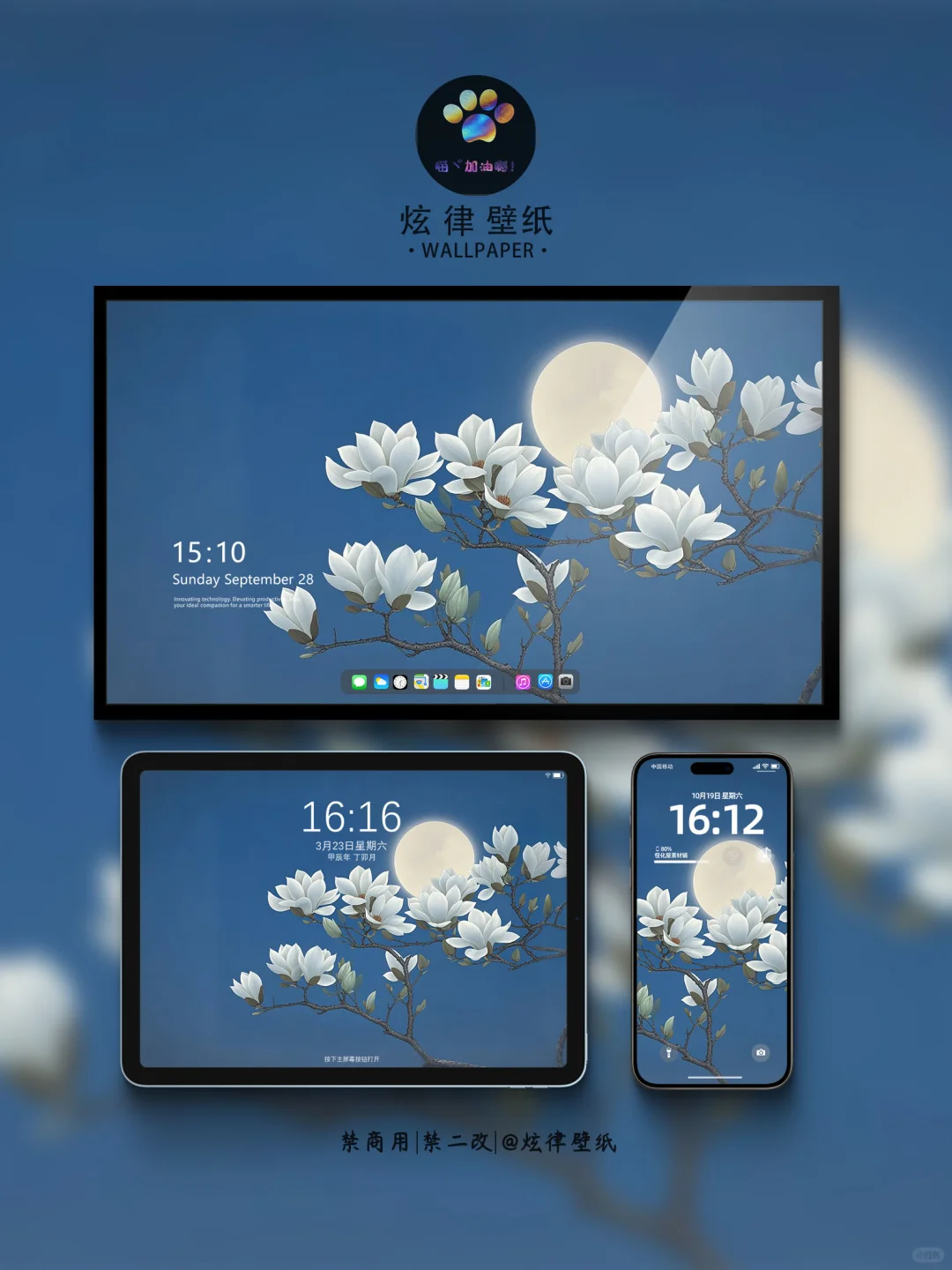 月亮与玉兰花 | 邂逅夜空中的清冷诗意