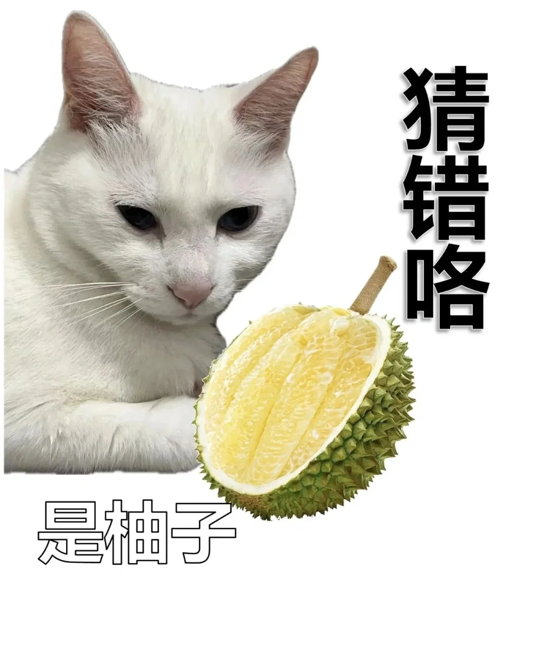 套路表情包，用了都说好