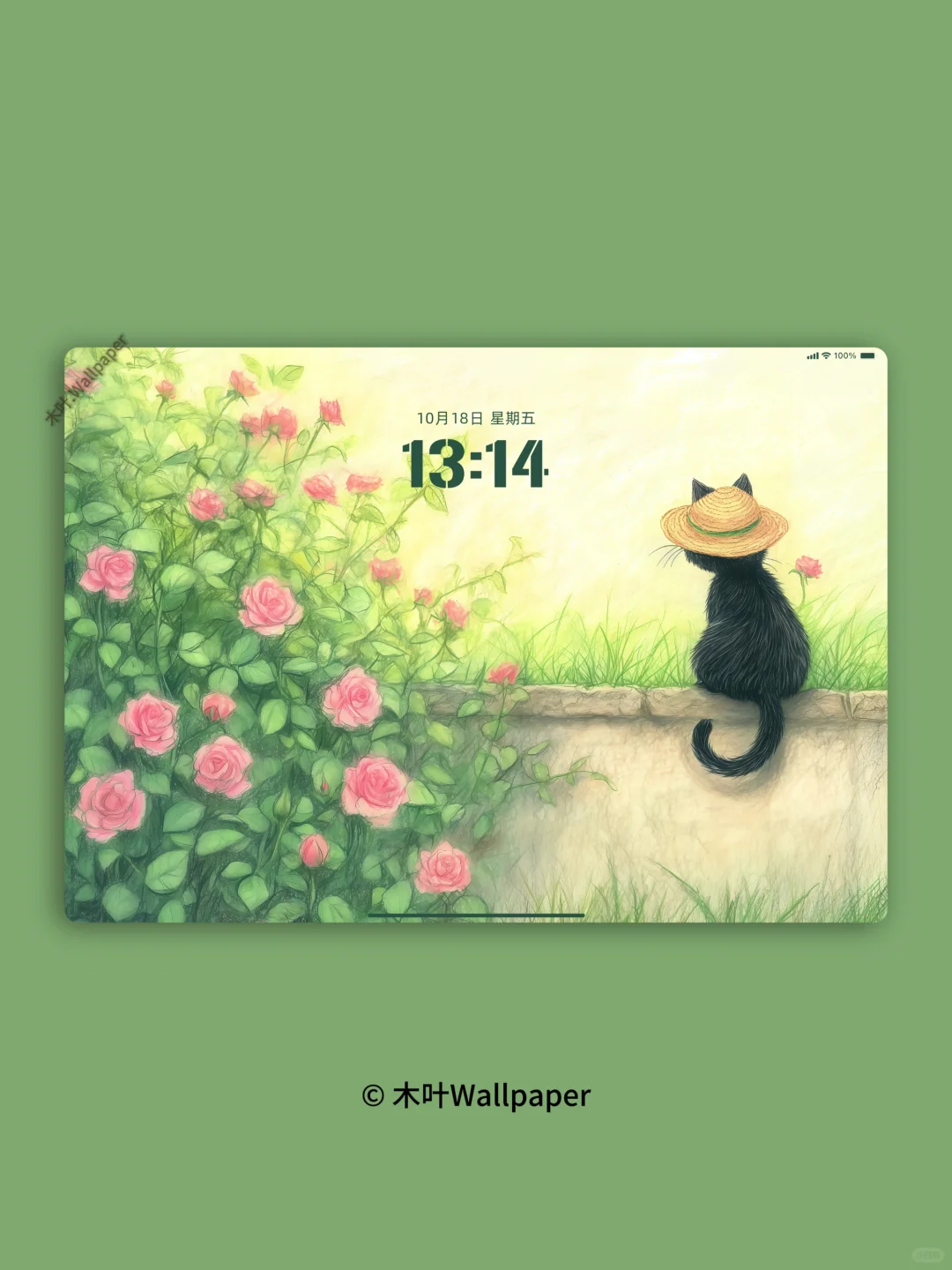 玫瑰花墙｜P107